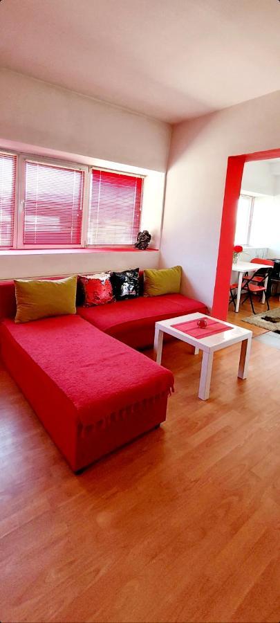 Appartamento Jednosoban Stan Centar Pirot Esterno foto
