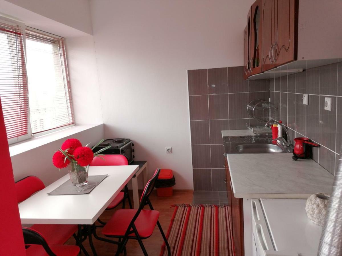 Appartamento Jednosoban Stan Centar Pirot Esterno foto