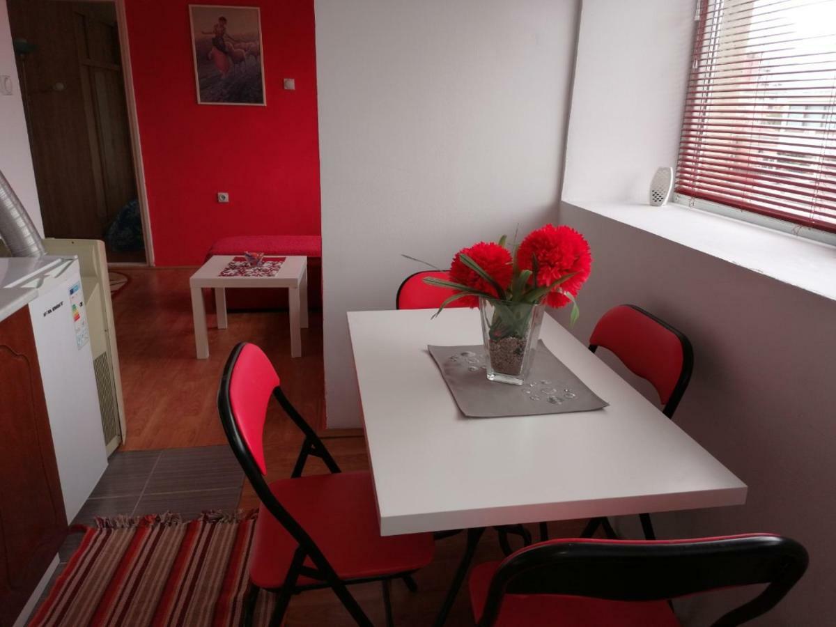 Appartamento Jednosoban Stan Centar Pirot Esterno foto