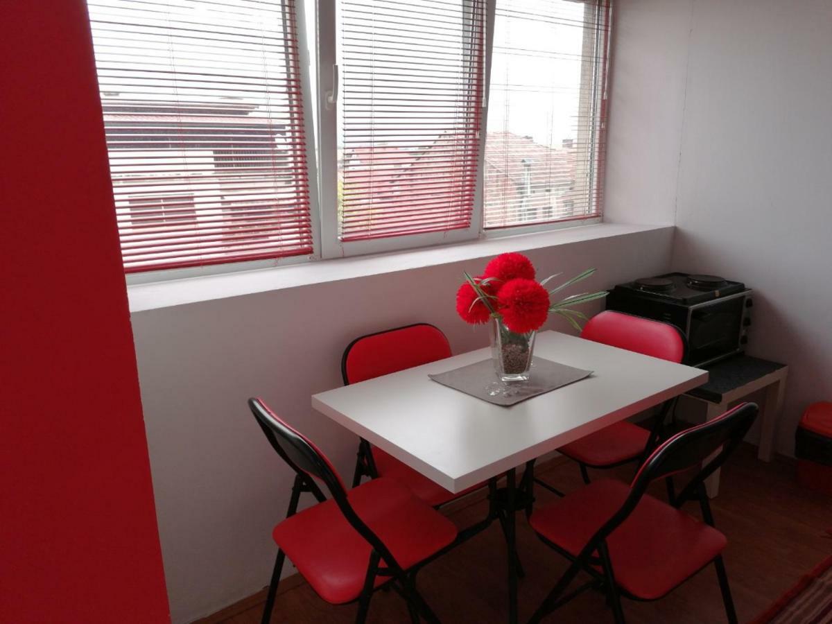 Appartamento Jednosoban Stan Centar Pirot Esterno foto